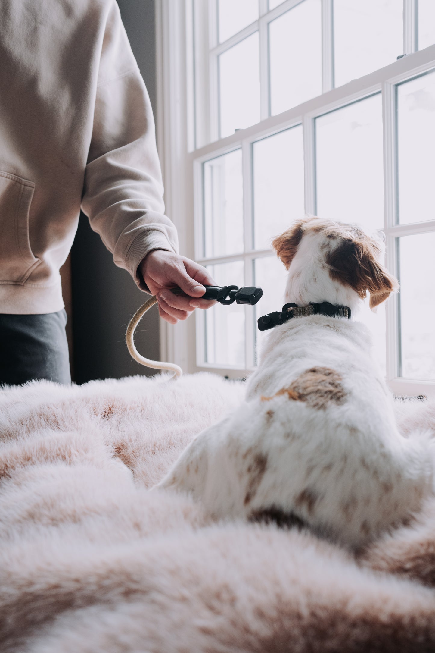 
                  
                    HOOZA Magnetic Quick Clip: Collar & Rope Leash
                  
                