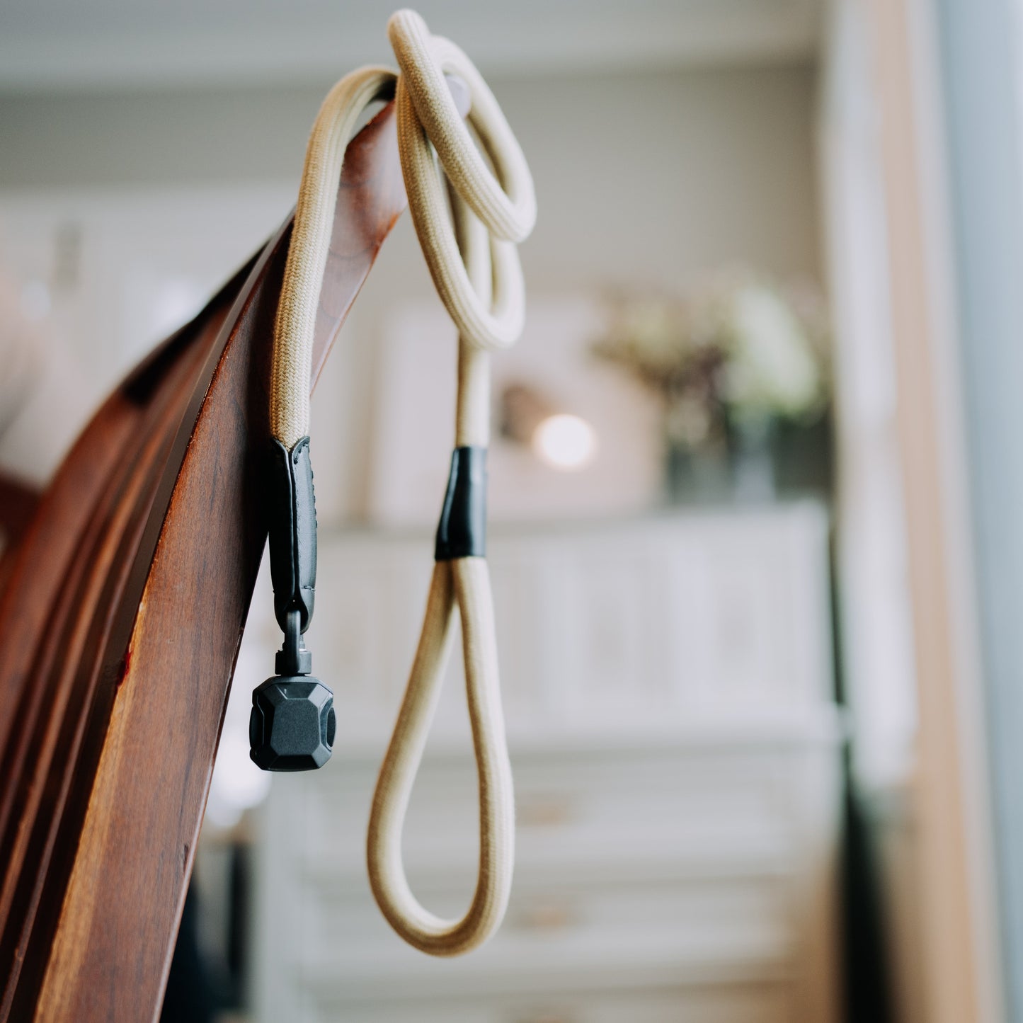 
                  
                    QUICK CLIP ROPE LEASH
                  
                