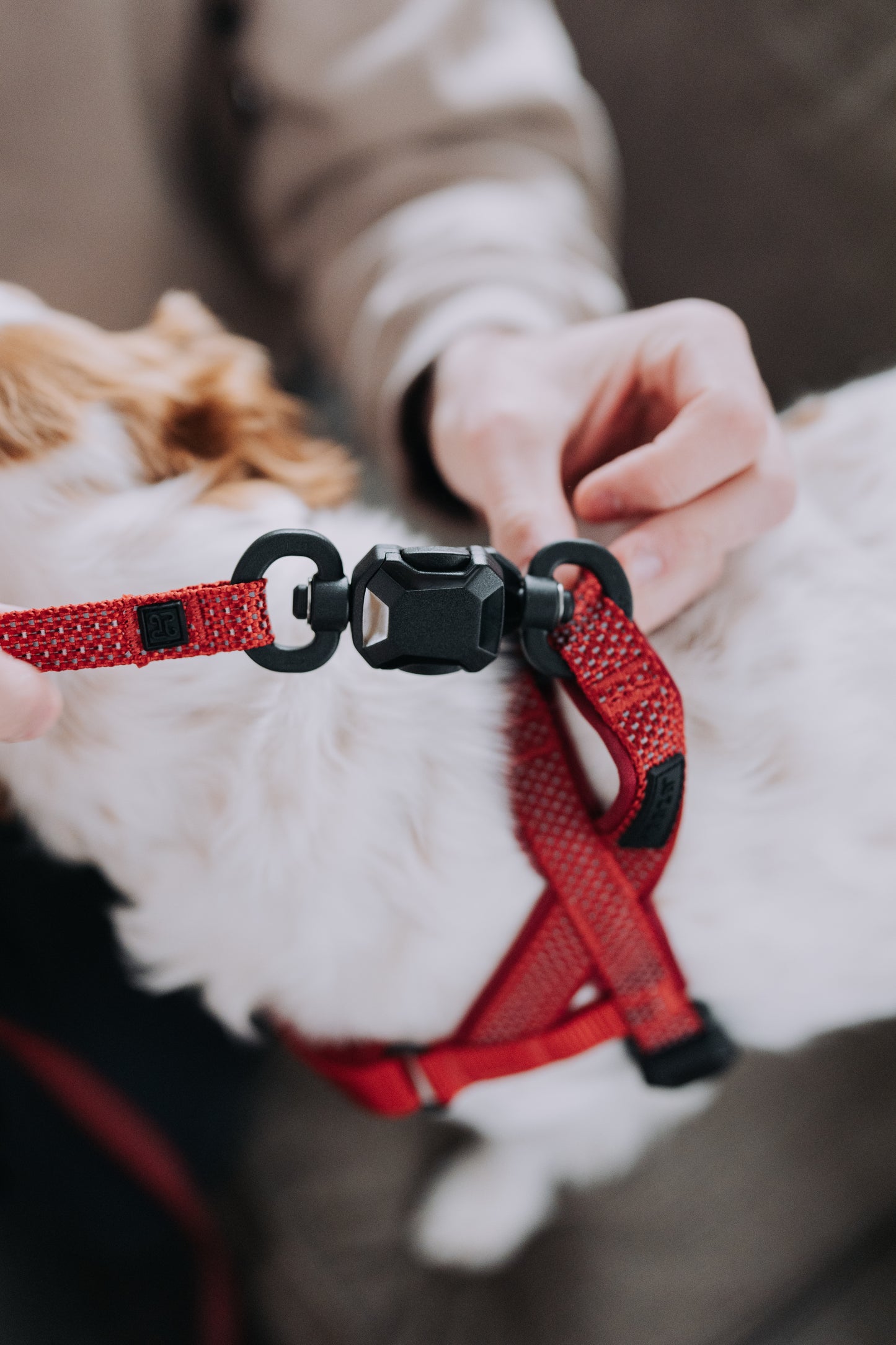 
                  
                    HOOZA Magnetic Quick Clip: Easy Fit Harness & Flat Leash
                  
                