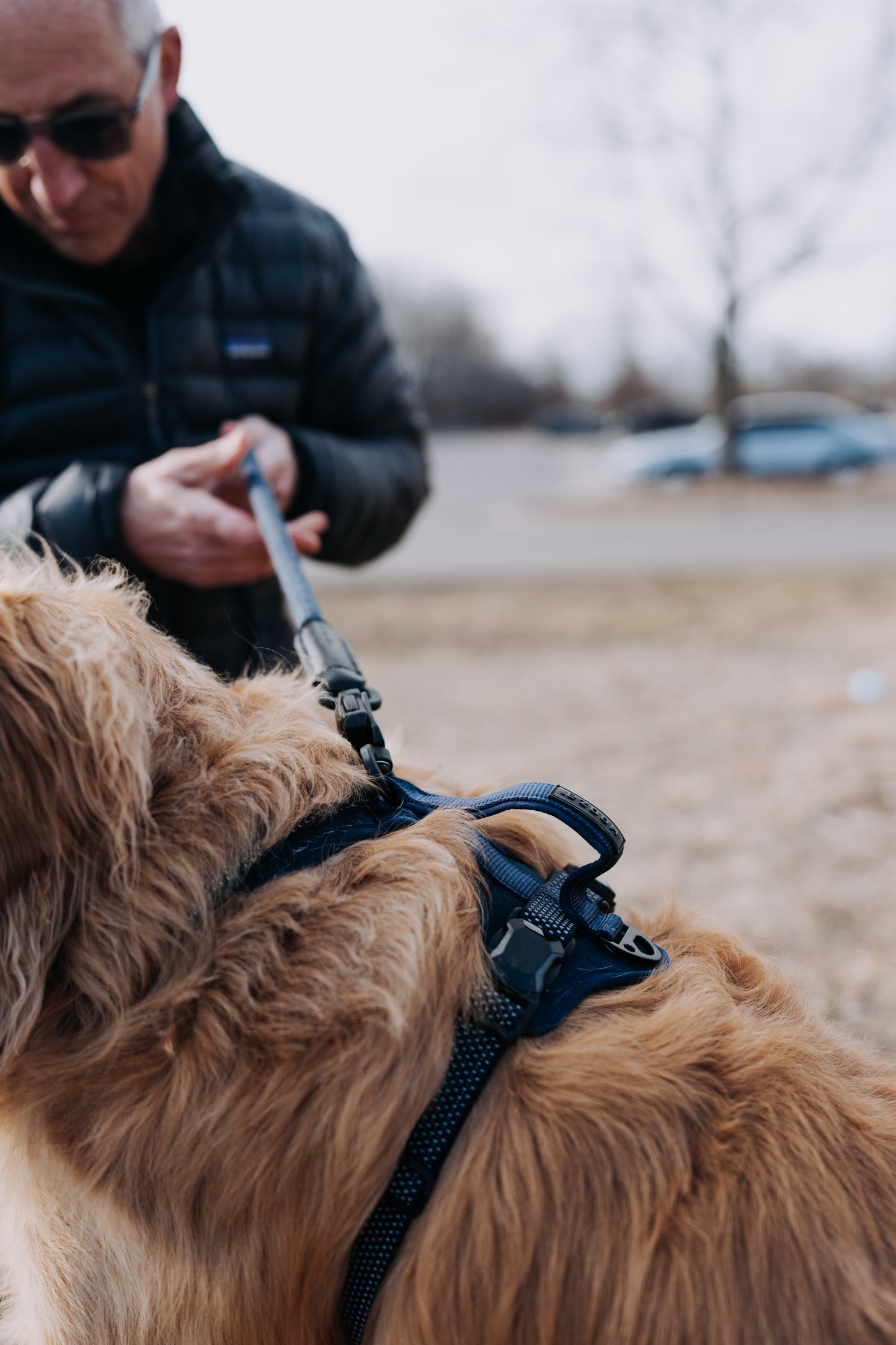 
                  
                    HOOZA Magnetic Quick Clip: Control Harness & Rope Leash
                  
                