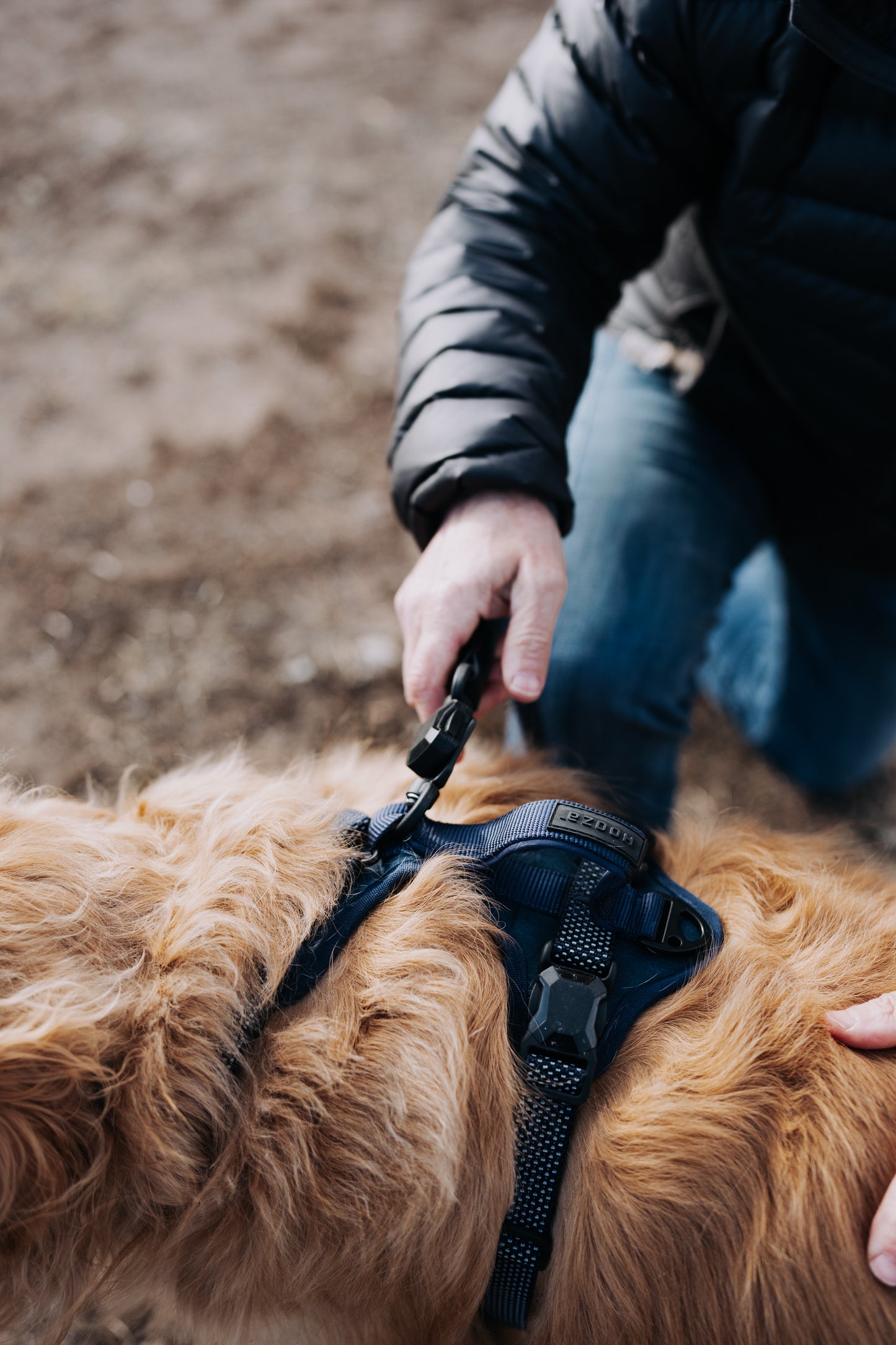 
                  
                    HOOZA Magnetic Quick Clip: Control Harness & Flat Leash
                  
                