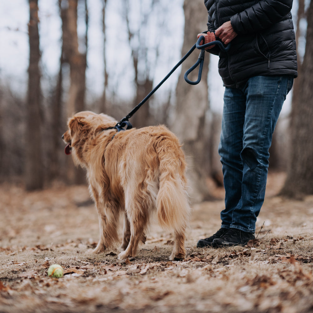 
                  
                    QUICK CLIP ROPE LEASH
                  
                