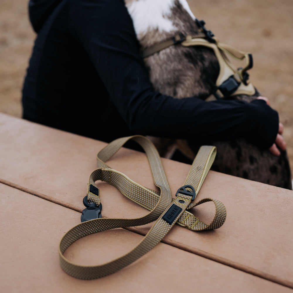 
                  
                    QUICK CLIP REFLECTIVE LEASH
                  
                