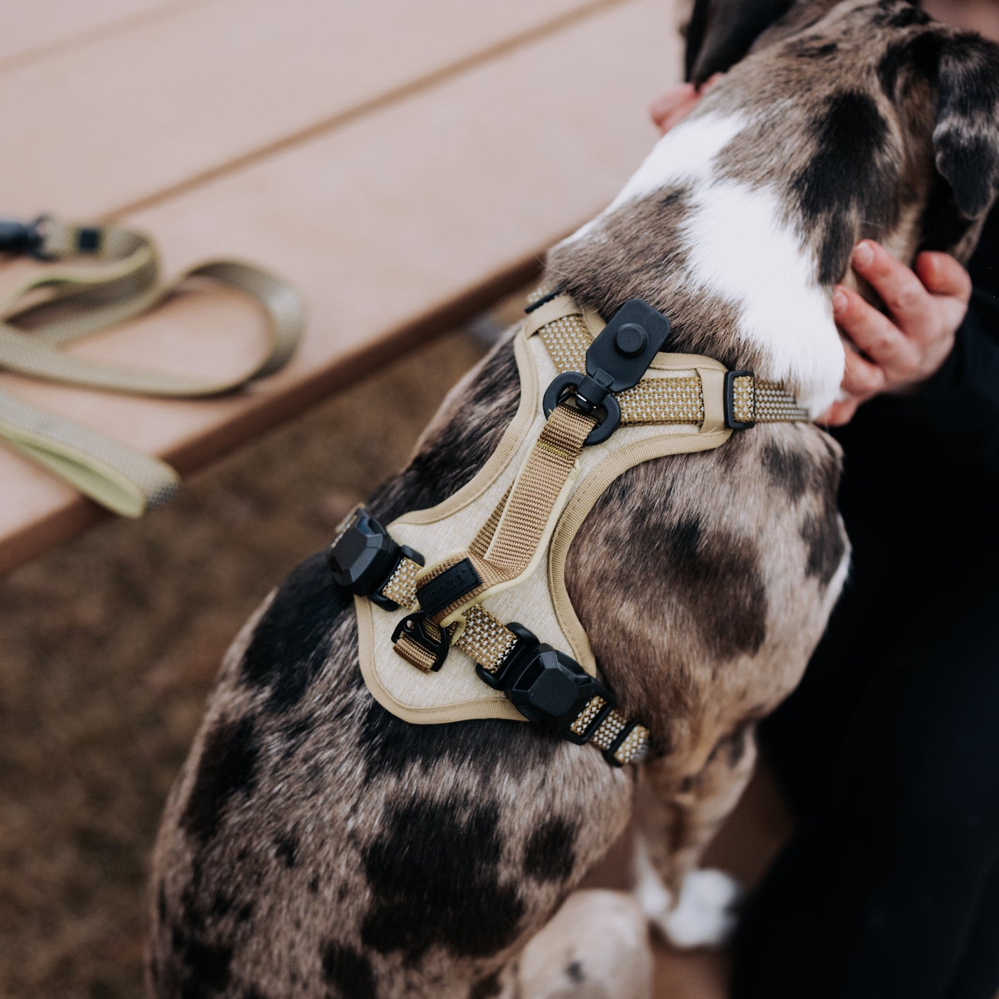 
                  
                    MAGNETIC QUICK CLIP CONTROL HARNESS
                  
                