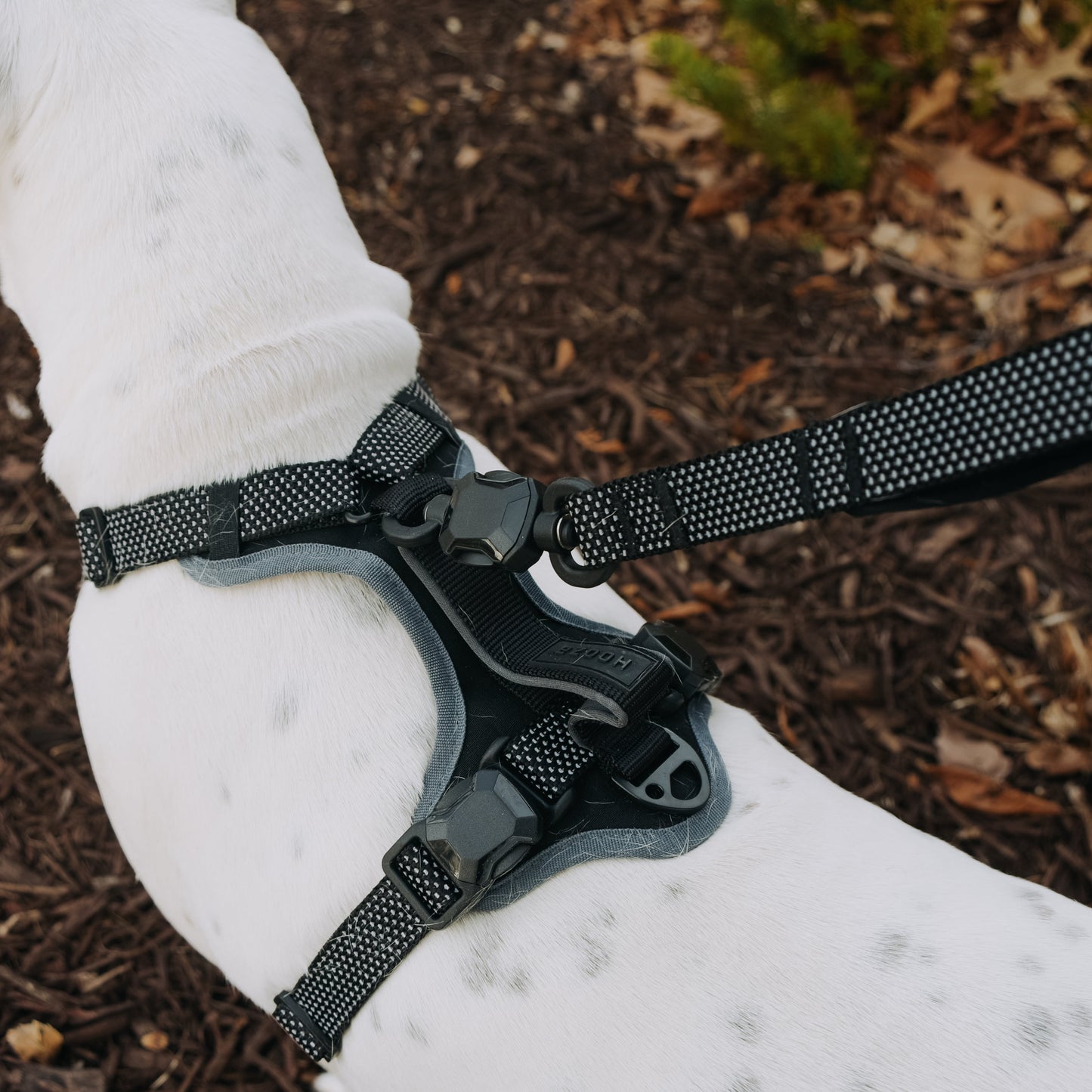 
                  
                    QUICK CLIP REFLECTIVE LEASH
                  
                