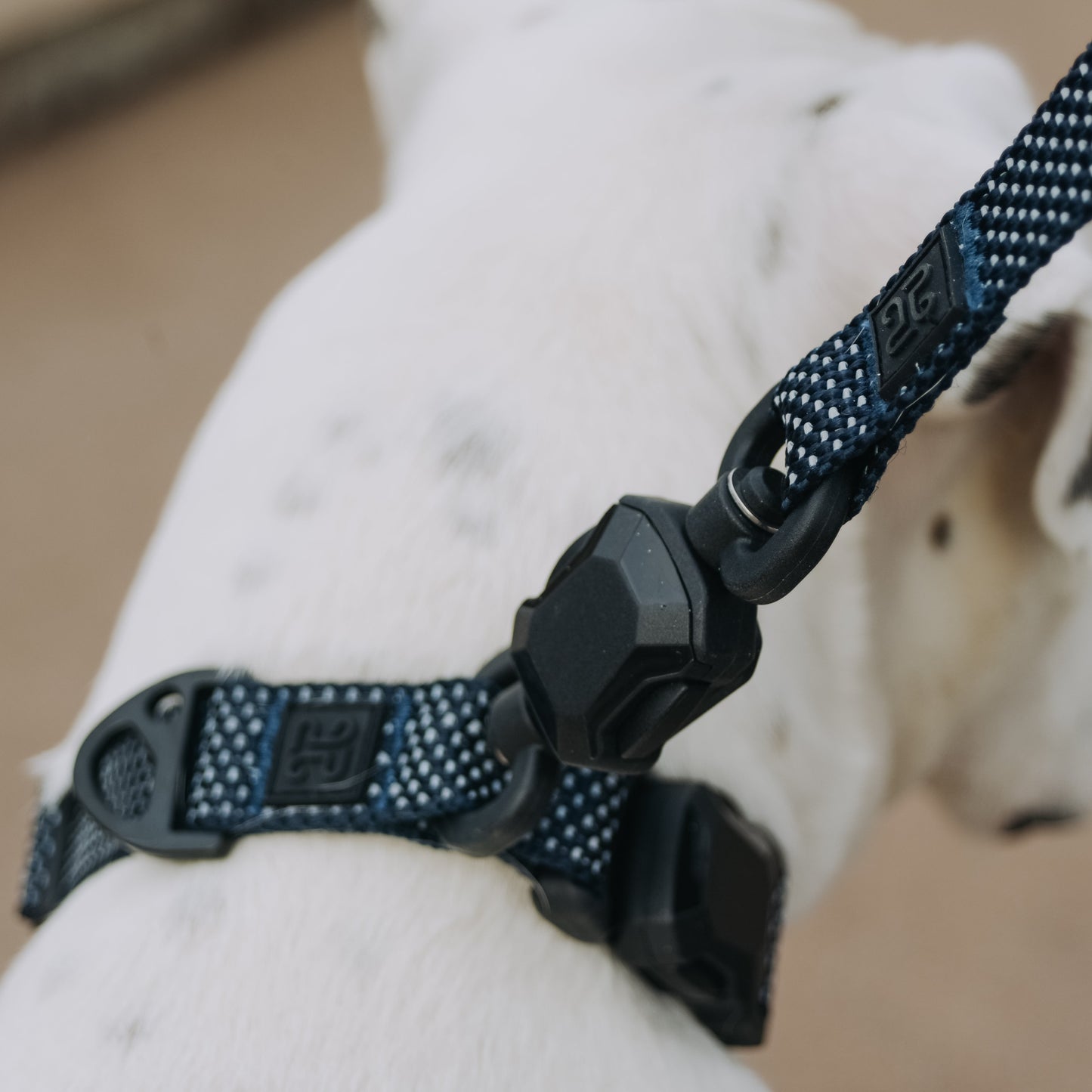 
                  
                    QUICK CLIP COLLAR
                  
                
