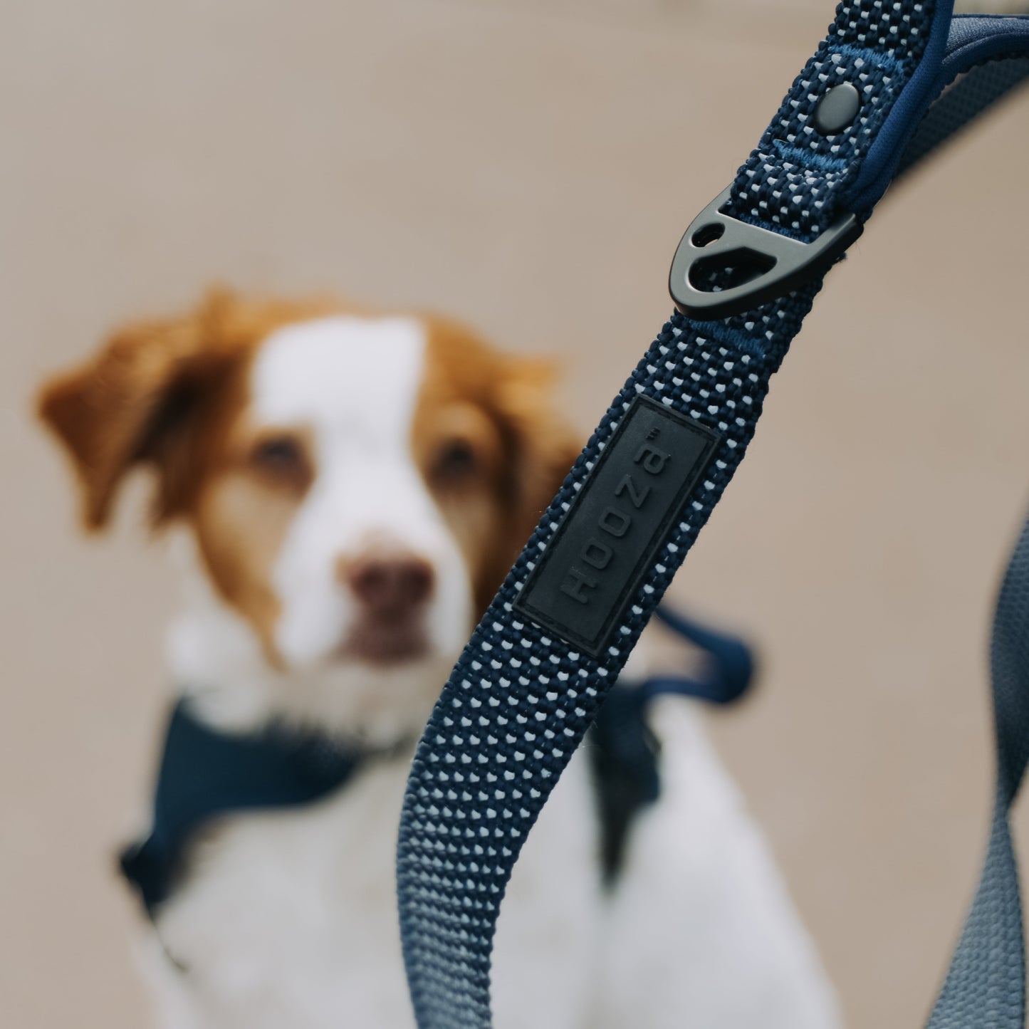 
                  
                    QUICK CLIP REFLECTIVE LEASH
                  
                