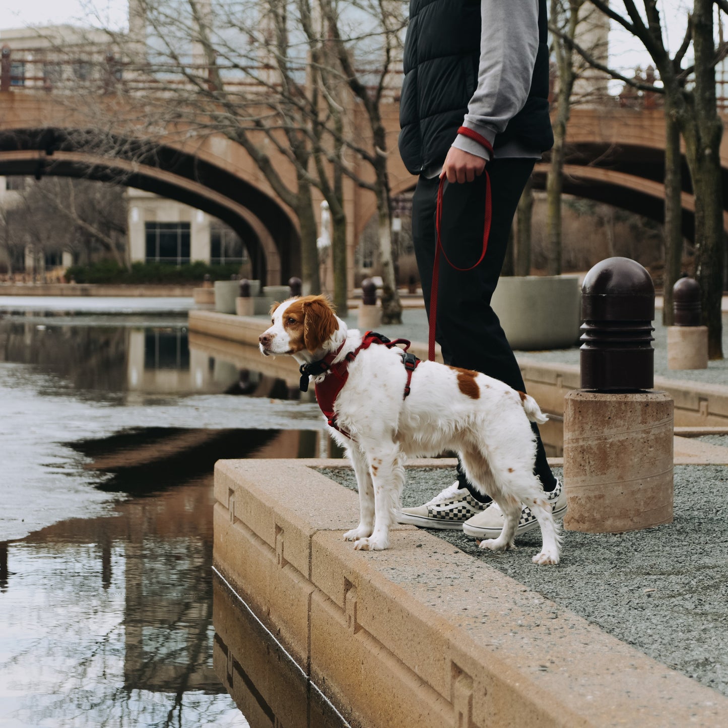 
                  
                    MAGNETIC QUICK CLIP CONTROL HARNESS
                  
                