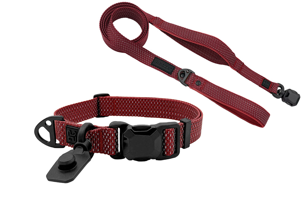 COLLAR & FLAT LEASH