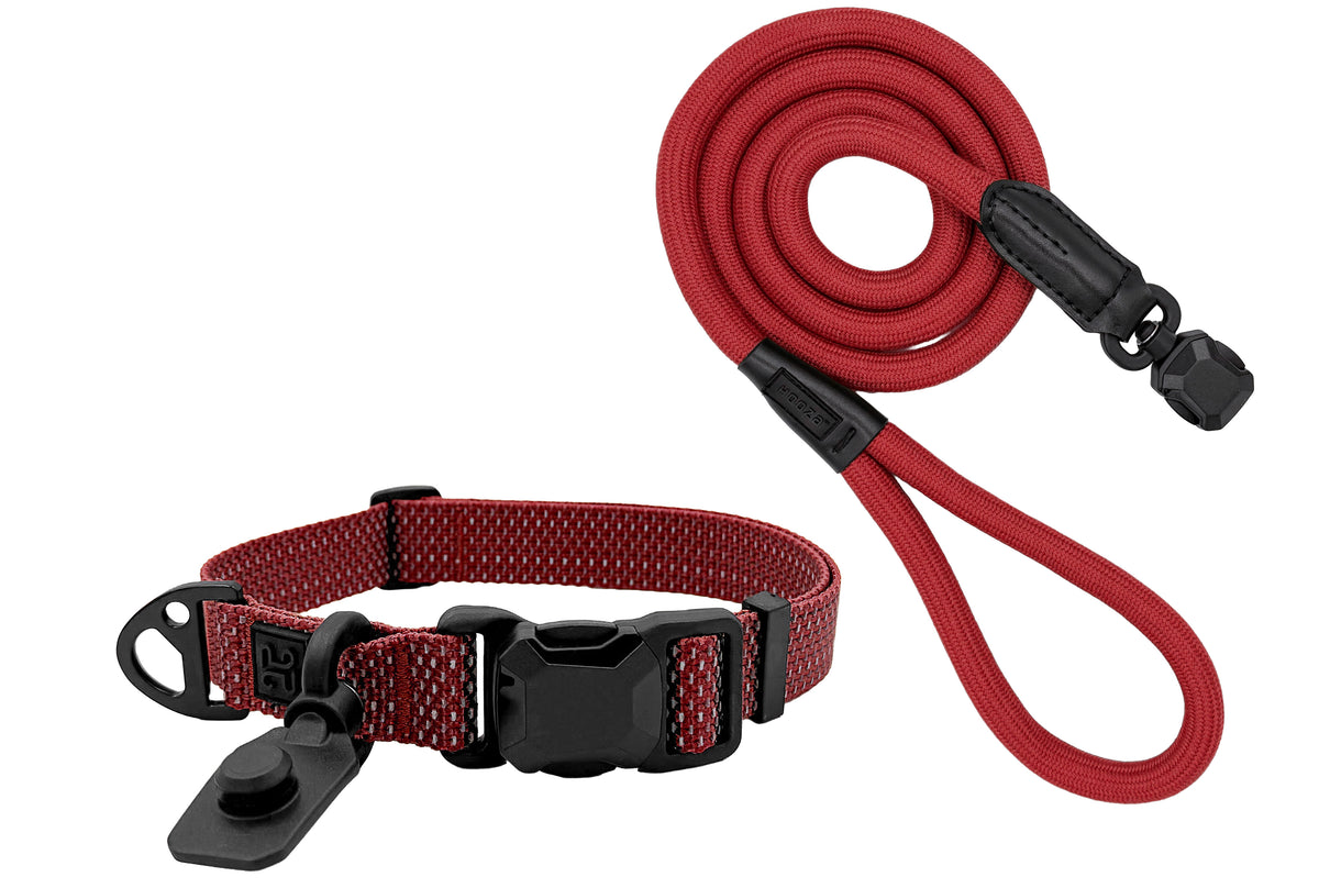 HOOZA Magnetic Quick Clip: Collar & Rope Leash