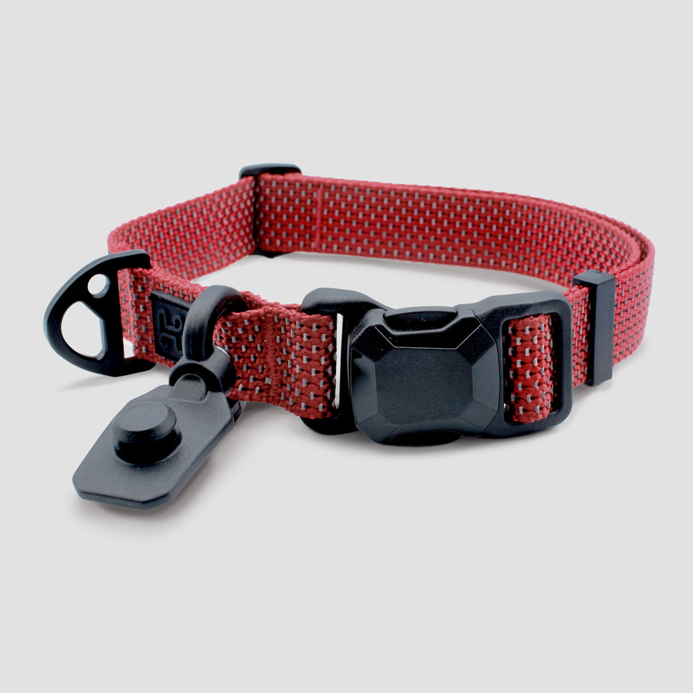 
                  
                    QUICK CLIP COLLAR
                  
                