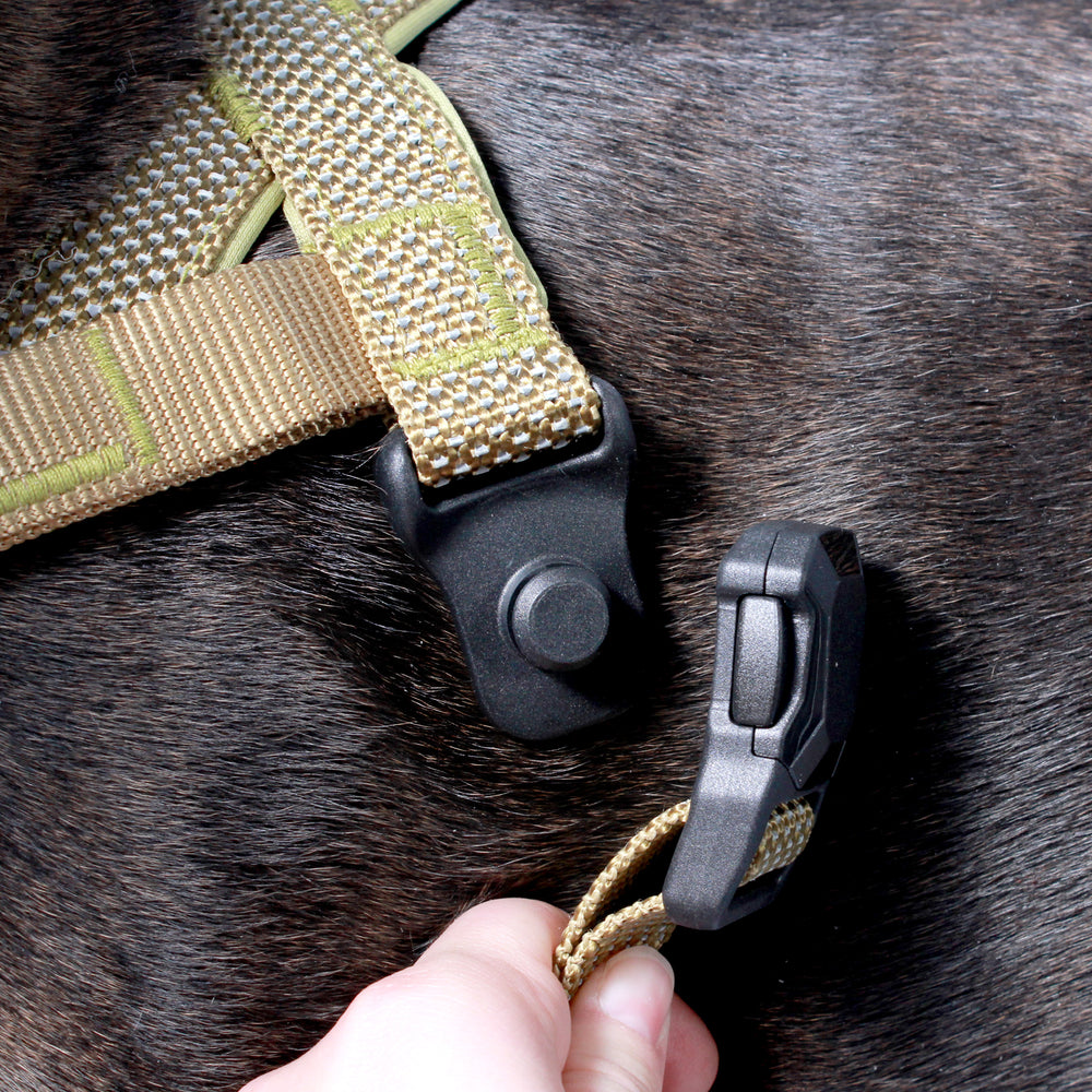 
                  
                    MAGNETIC QUICK CLIP HARNESS
                  
                