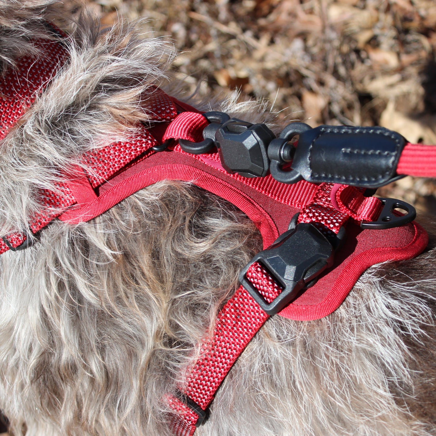 
                  
                    MAGNETIC QUICK CLIP CONTROL HARNESS
                  
                