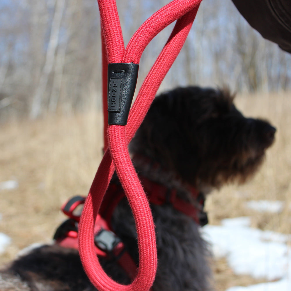 
                  
                    QUICK CLIP ROPE LEASH
                  
                