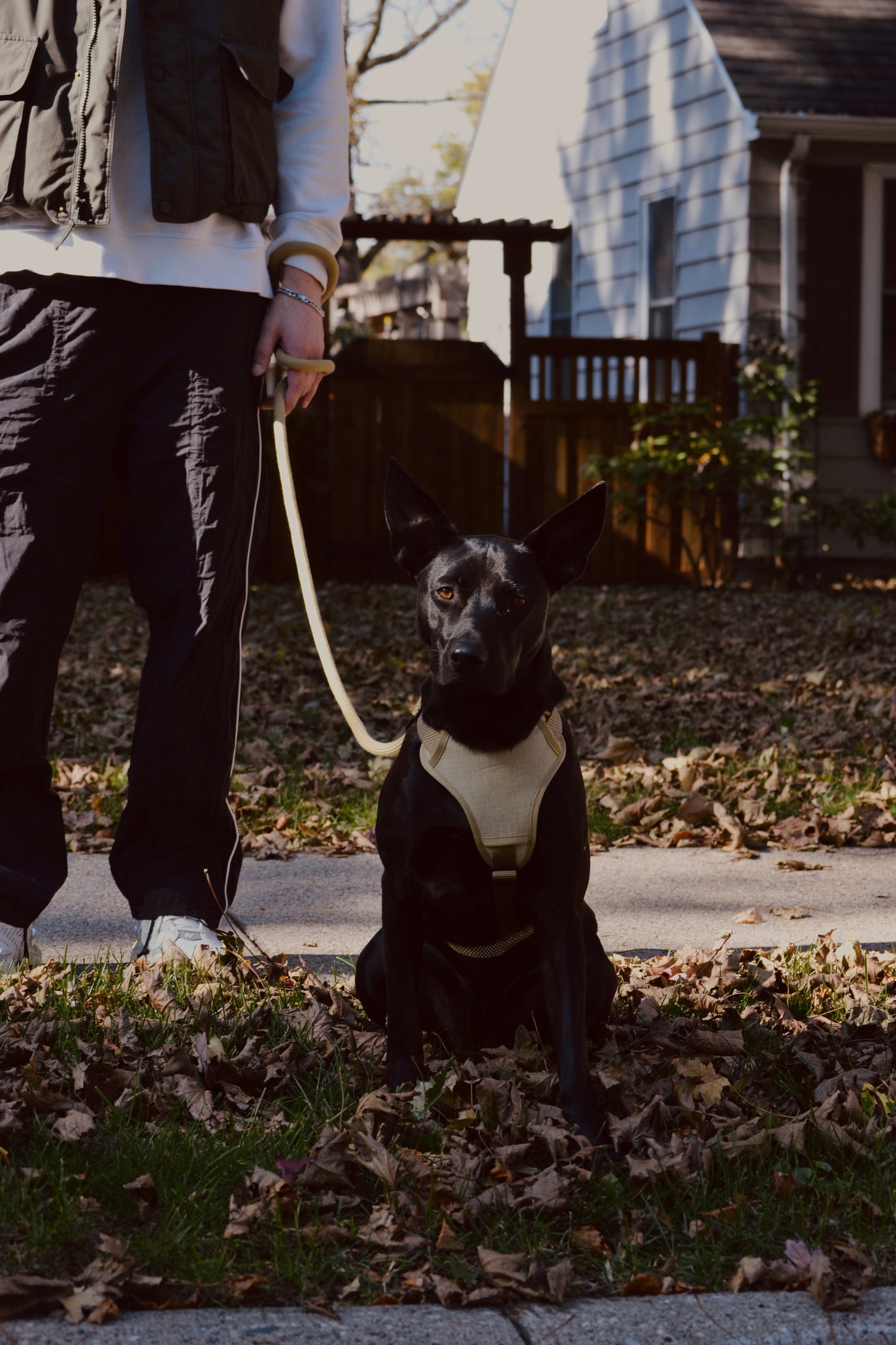 
                  
                    HOOZA Magnetic Quick Clip: Control Harness & Rope Leash
                  
                