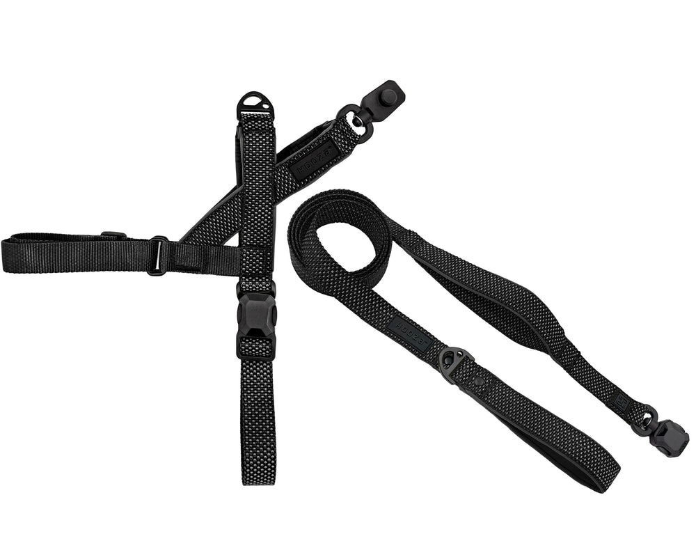 
                  
                    QUICK CLIP & FLAT LEASH
                  
                