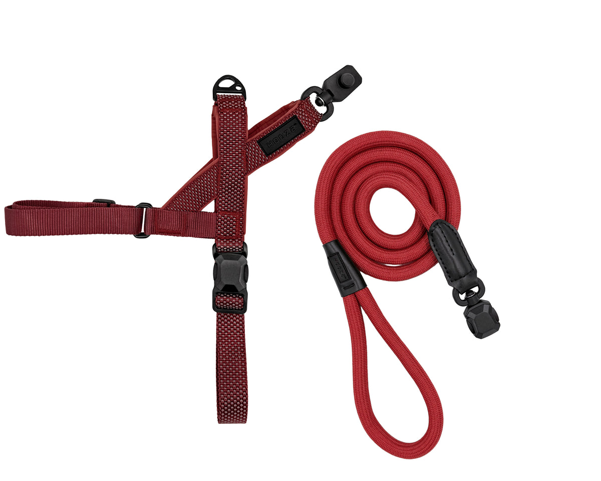 HOOZA Magnetic Quick Clip: Easy Fit Harness & Rope Leash